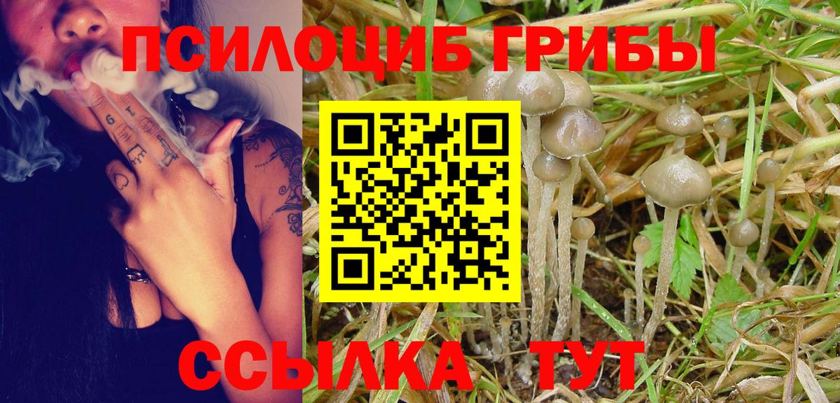 Воркута  Галлюциногенные грибы Cubensis  Вход с VPN 